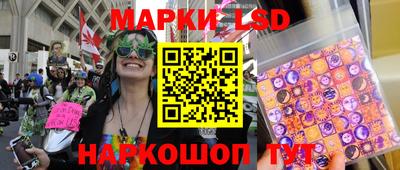 спиды Кинель