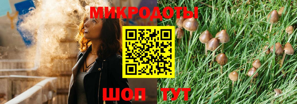 Клинцы  Галлюциногенные грибы GOLDEN TEACHER  Галлюциногенные грибы Cubensis  Вход с VPN 